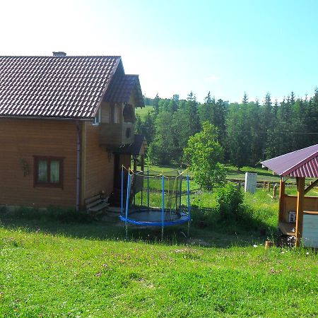 Villa Lisovychok à Vorokhta Extérieur photo