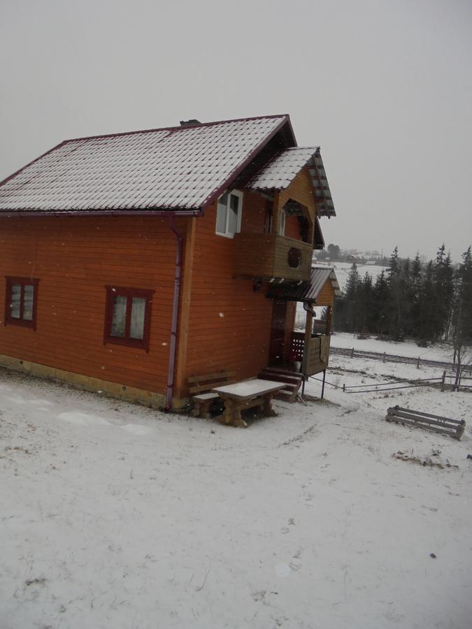 Villa Lisovychok à Vorokhta Extérieur photo