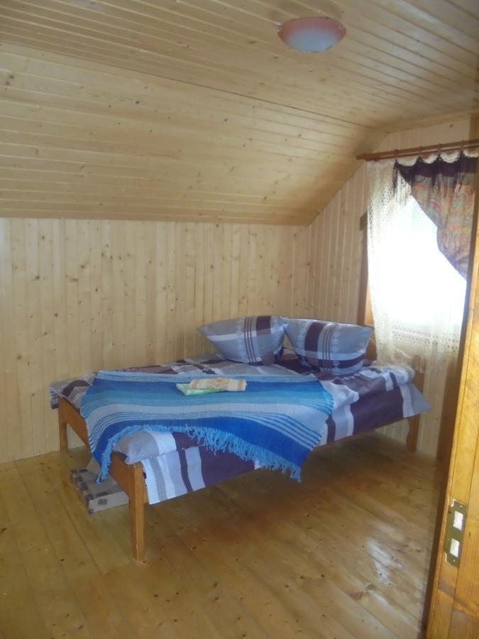 Villa Lisovychok à Vorokhta Extérieur photo