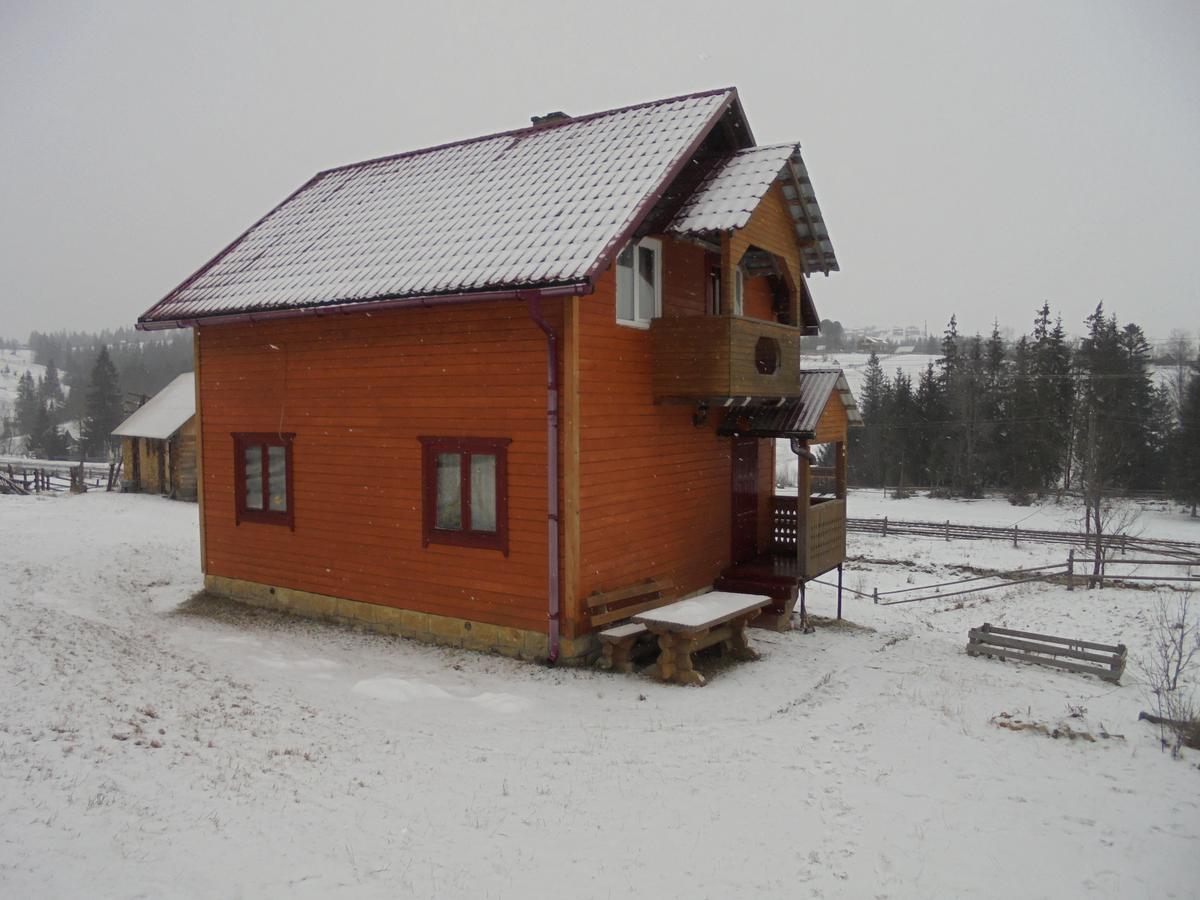 Villa Lisovychok à Vorokhta Extérieur photo