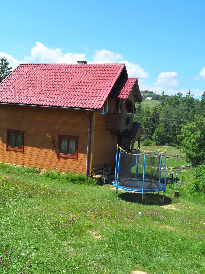 Villa Lisovychok à Vorokhta Extérieur photo