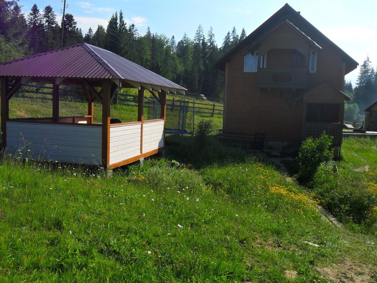 Villa Lisovychok à Vorokhta Extérieur photo